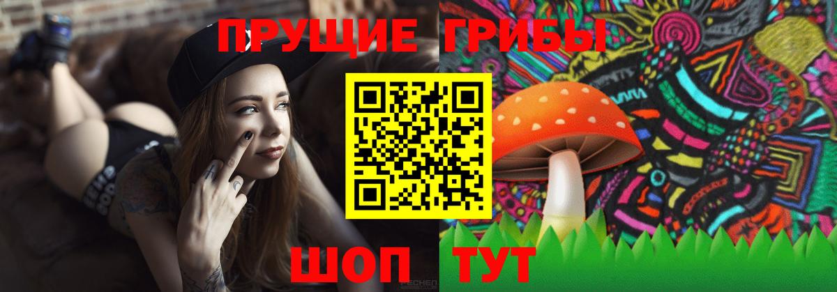 Галлюциногенные грибы прущие грибы Трёхгорный